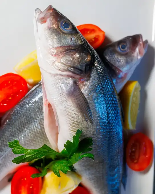 Orata e branzino freschi su letto di ghiaccio — pescato del giorno